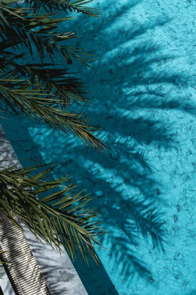 Tropical palm shadows reflecting on a luxury villa swimming pool in Phuket, creating a serene and inviting atmosphere
